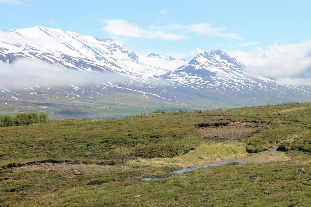 Dalvik Vegamot Cottages Esterno foto